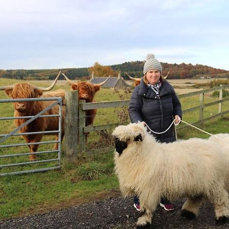 הוילה Glampods Glamping Pod - Meet Highland Cows And Sheep אלג'ין מראה חיצוני תמונה