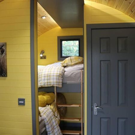 הוילה Glampods Glamping Pod - Meet Highland Cows And Sheep אלג'ין מראה חיצוני תמונה