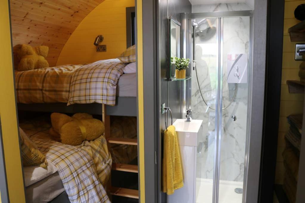 הוילה Glampods Glamping Pod - Meet Highland Cows And Sheep אלג'ין מראה חיצוני תמונה